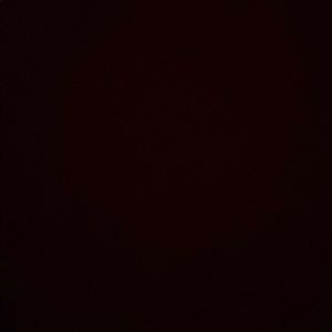 Meet your Posher, Eden